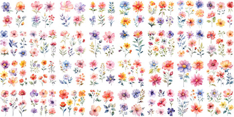 A Big watercolor floral package collection. Use by fabric, fashion, wedding invitation, template, poster, romance, greeting, spring, bouquet, pattern, decoration and textile.