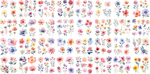 A Big watercolor floral package collection. Use by fabric, fashion, wedding invitation, template, poster, romance, greeting, spring, bouquet, pattern, decoration and textile.
