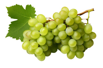Luscious Cluster of Green Grapes With a Vibrant Leaf on a Clear PNG or White Background.