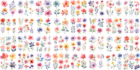 A Big watercolor floral package collection. Use by fabric, fashion, wedding invitation, template, poster, romance, greeting, spring, bouquet, pattern, decoration and textile.  © Pixel Park