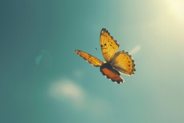Obraz premium A yellow butterfly gracefully flies through the air. Suitable for nature and wildlife themes