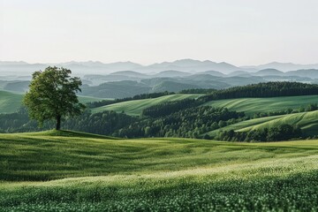 Obraz premium Mountain Landscape with Sky: A serene scene of misty mountains, green hills, and a vibrant sky at sunrise, showcasing the beauty of nature