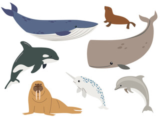 Set with hand drawn sea life mammals. Vector cartoon set of sea animals objects for your design. Cartoon hand drawn style. © Irina