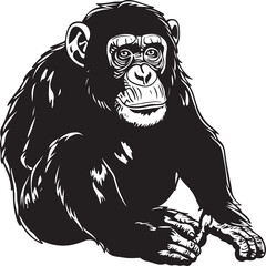 Obraz premium chimpanzee chimp vector transparent background