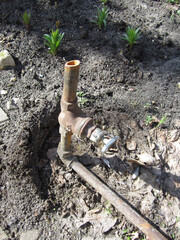 Time-beaten faucet and pipe in the garden in early spring, their weathered surfaces testify to countless seasons.