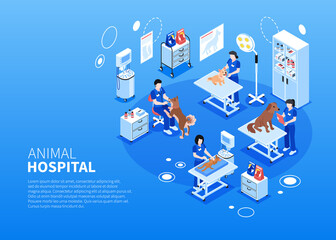 Isometric veterinary background template