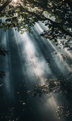 Abstract Forest Clearing With Beams Of Light,Photorealistic HD