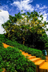 Staircase leading to park by Umiam Lake, Meghalaya, India