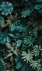 Abstract Jungle With Thick Vines,Photorealistic HD