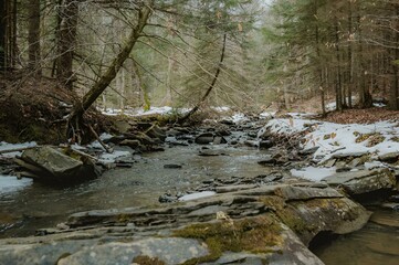 Stream flowing through snow-covered forest on hillside