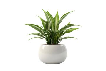 Ethereal Elegance: A Verdant Blossom in a Pure White Vessel on a Clear PNG or White Background.
