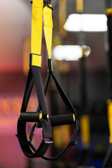 TRX straps training loop equipment. Loop functional training equipment. Sport accessories
