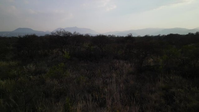 Drone footage of a green patch in a park on the south of Mexico City at sunset, Mexico