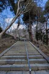 Fototapeta premium 寺社仏閣