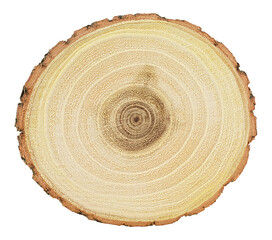 Round piece of wood in cross section with wood texture pattern isolated on a white background....