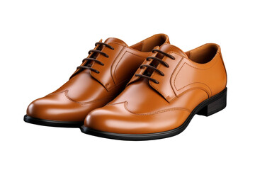 Brown Elegance: A Duo of Shoes on a Clear PNG or White Background.