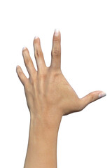 mani segni delle mani da donna e da  uomo su fondo trasparente isolato