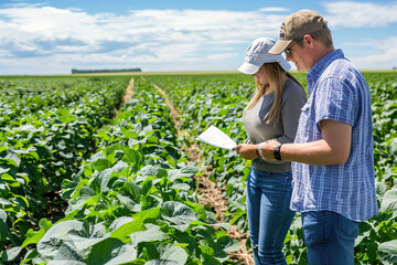 Inspectors examining crops in organic farm field, verifying certification standards.