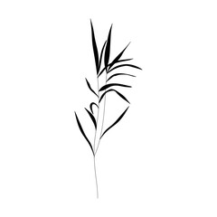 Botanical minimal meadow grass branch. Abstract floral monochrome logo design elements, feminine tattoo sketch, poster. Vector silhouettes illustration