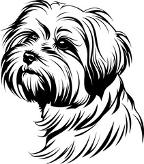 Maltese dog silhouette icon in black color. Vector template design illustration.