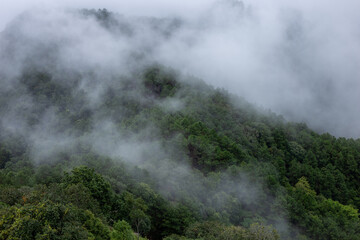 Selective focus mountains covered with fog Refreshing rainy season mist View from a traveler on the mountain top misty forest mountain background