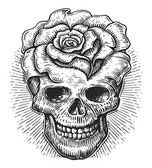 Human skull and flowers, rose. Dia de los muertos day. Mexican holiday, Clipart sketch vintage engraving style