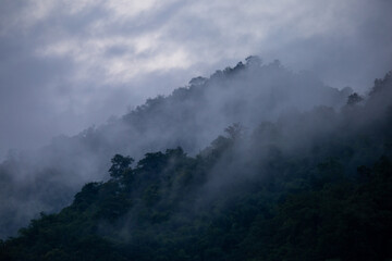 The background texture of mountains in the rainy season and the icy rain fog feels cool and refreshing with the green color of the forest that is cool and pleasing to the eye.