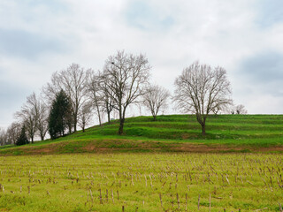 Rural landscape near Lomagna and Valaperta, Brianza, Italy