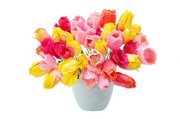 Multicolored tulips in a vase, isolated on white background, colorful tulips