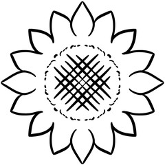 black and white flowers