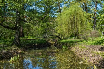 Bridge over the river in the park