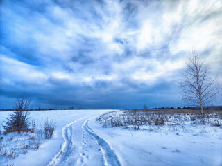 Snow Covered Field Under Cloudy Sky