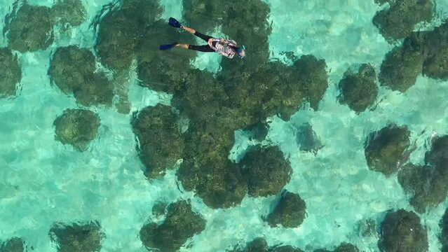Aerial view of beautiful blue ocean with transparent corals and reef, Thoddoo, Maldives.