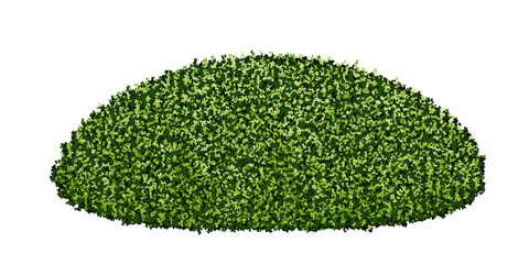 A green hill or alpine hill with bushes or a thick lawn. Elevation of plants with leaf texture. Vector illustration isolated from background. Evergreen boxwood shrub