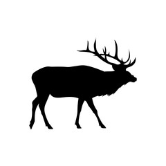 Elk or moose silhouette, solid icon vector. Elk icon. Livestock concept. Moose sign on white background. Elk meat badge. Part of my game meat illustration collection. Hunt. Hunting