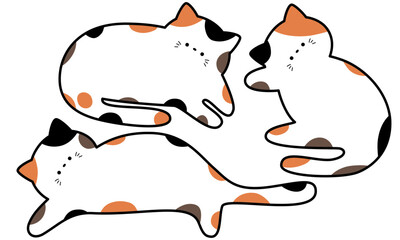 縁ありのかわいい三毛猫のフレームセット