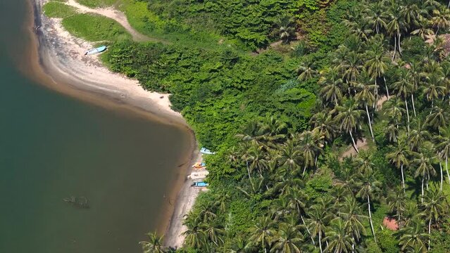Aerial view of untouched beach with palm trees, huts, and River Maha Oya meeting the Indian Ocean, Negombo, Sri Lanka.