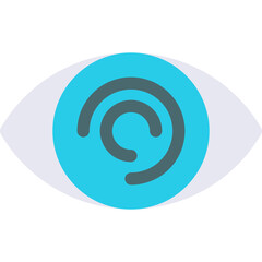 Eye Icon