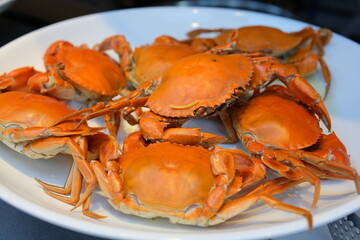 Close-up boiled red crabs, avocado, laurel, wine glasses Steamed crab in a dish. Boiled crab fresh served with spicy sauce on white background. Thai food style,Top view. 