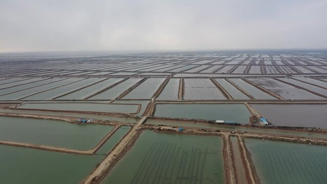 Aerial photography of Shandong Dongying Marine Aquaculture Farm