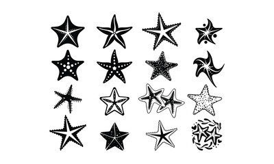 Starfish  Vector bundle, Baby Penguin Clipart, Silhouette, Vector, icons, illustration, design.