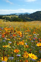 Fototapeta premium A field of wildflowers swaying in the breeze, rolling hills leading to a distant forest