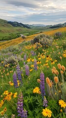 A field of vibrant wildflowers stretching to the horizon, a winding river cutting through, panoramic