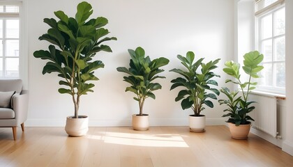 Simplicity and nature accents in scandi living room