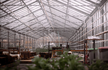 Greenhouse
