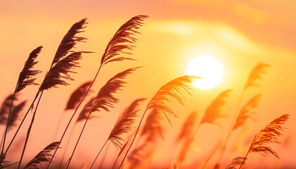 a   of windblown grasses swaying gently against the backdrop of a vibrant setting sun, their silhouettes creating delicate patterns against the warm orange and pink hu