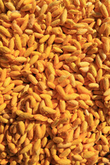 Yellow silkworm cocoon shell through the Silk Route, the brewing process, bringing silks to silk 