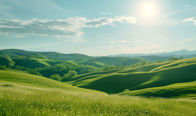 Fototapeta premium landscape with green grass and sky