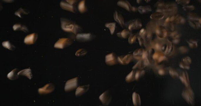 Coffee beans falling from below, slowmotion low angle 4K pro res