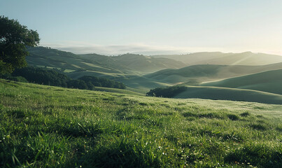 Obraz premium landscape with grass